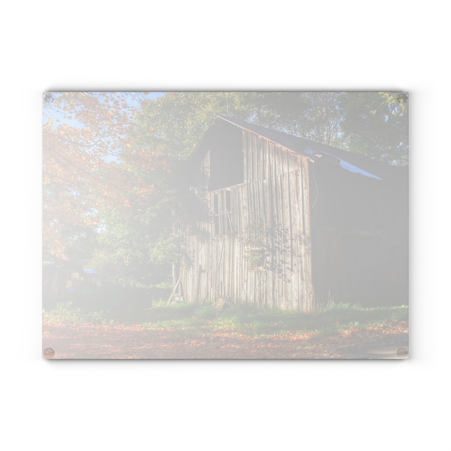 U R There Photography Shoemaker Road Hidden Grey Rustic Farmhouse Tempered-Glass Cutting Board