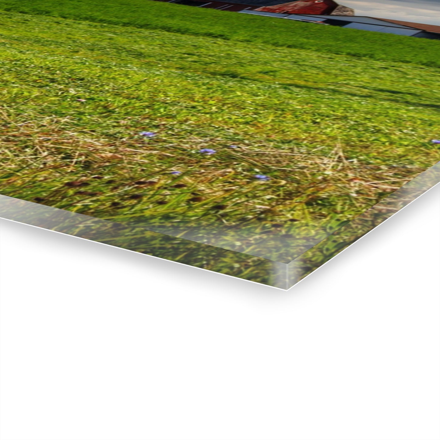 U R There Photography Across the Field in Kingston Rustic Farmhouse Acrylic Wall Print