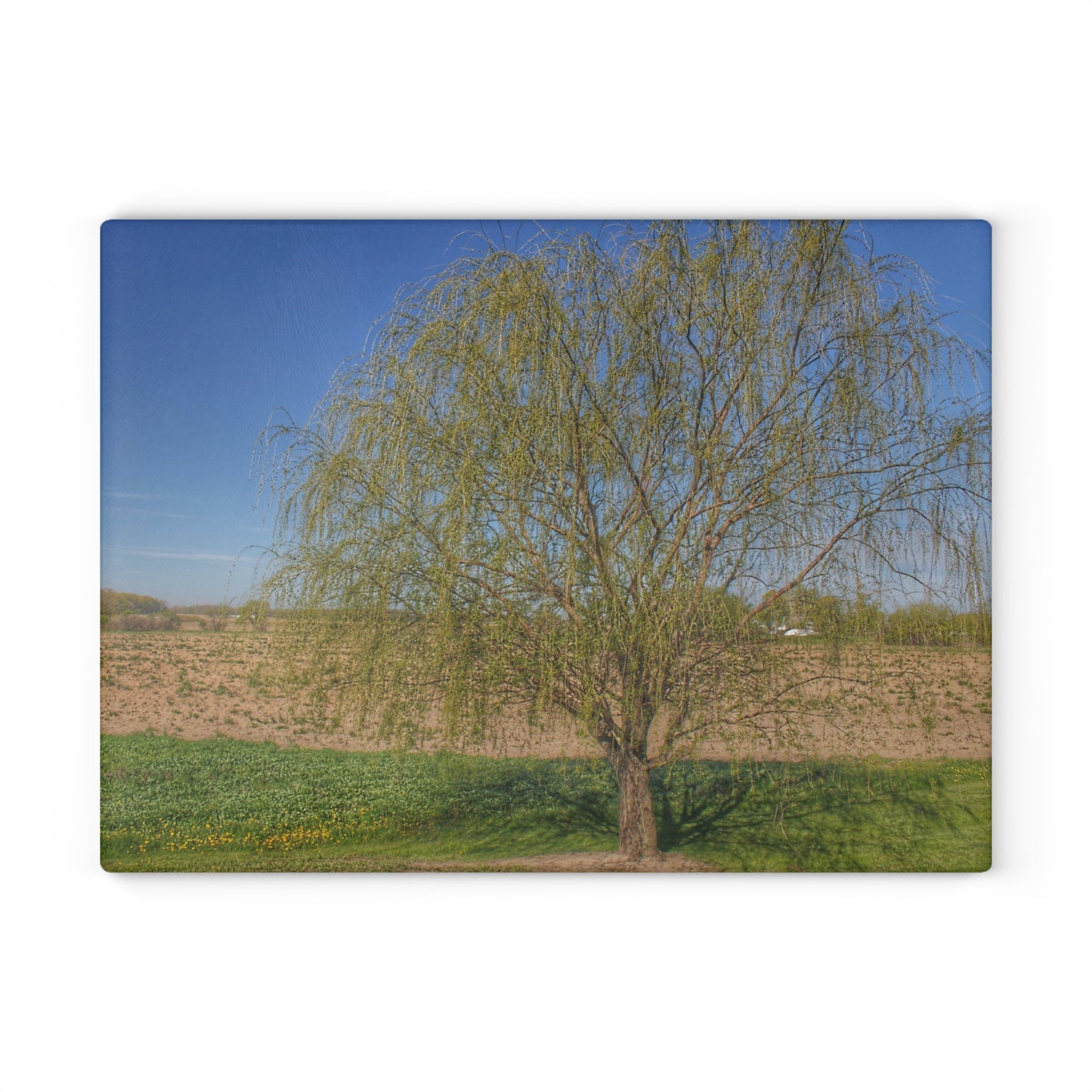 U R There Photography Spring Farm Willow Tree Rustic Farmhouse Tempered-Glass Cutting Board