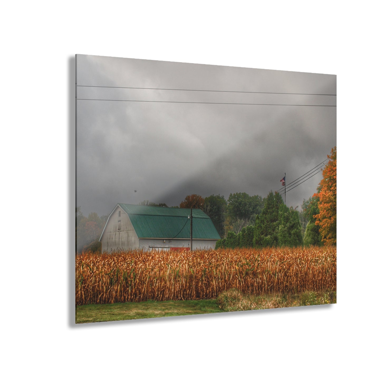 U R There Photography Saginaw Road White Rustic Farmhouse Acrylic Wall Print