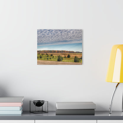 U R There Photography Fences, Firs and Fall Rustic Farmhouse Acrylic Wall Print