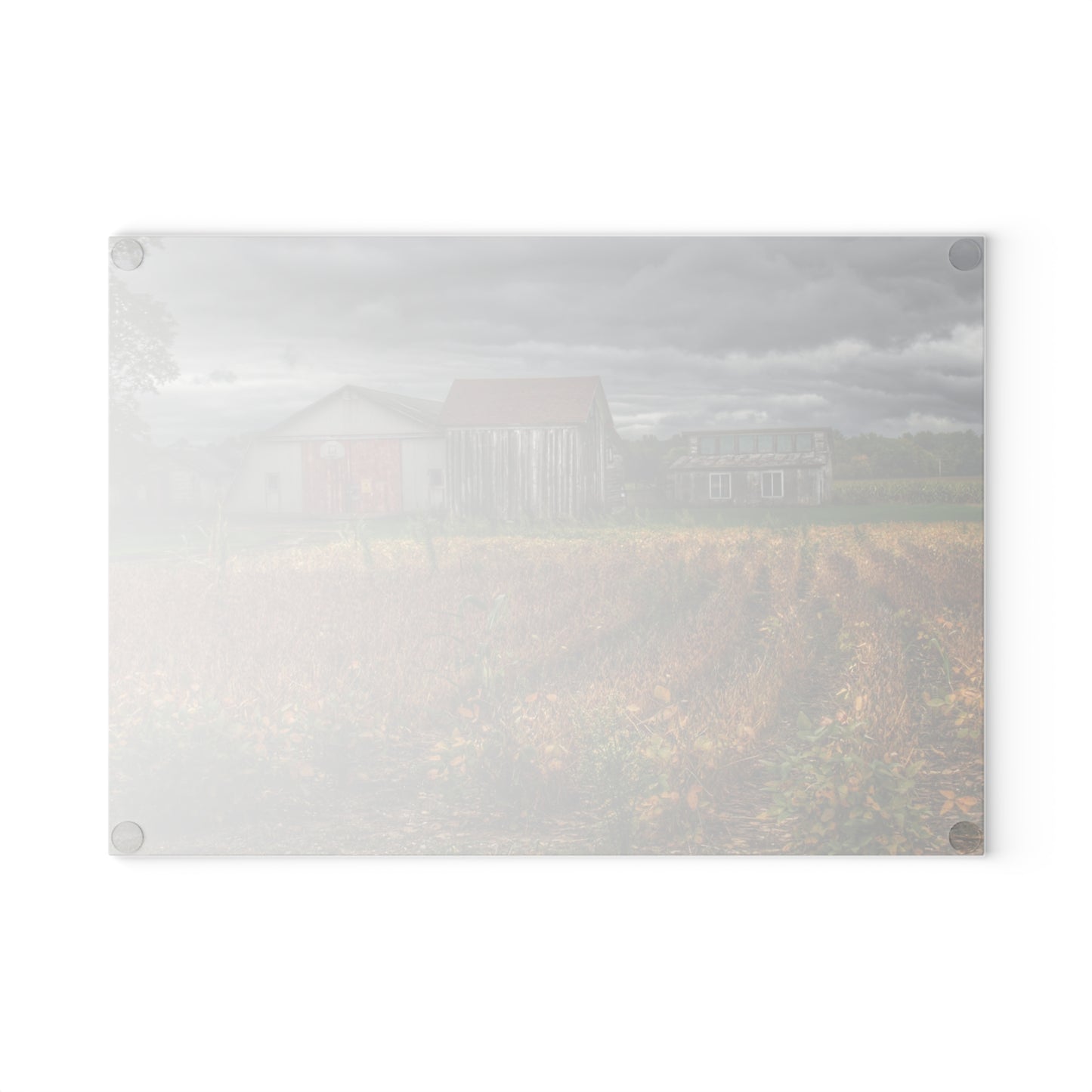 U R There Photography Murphy Lake Road Quonset Clan Rustic Farmhouse Tempered-Glass Cutting Board