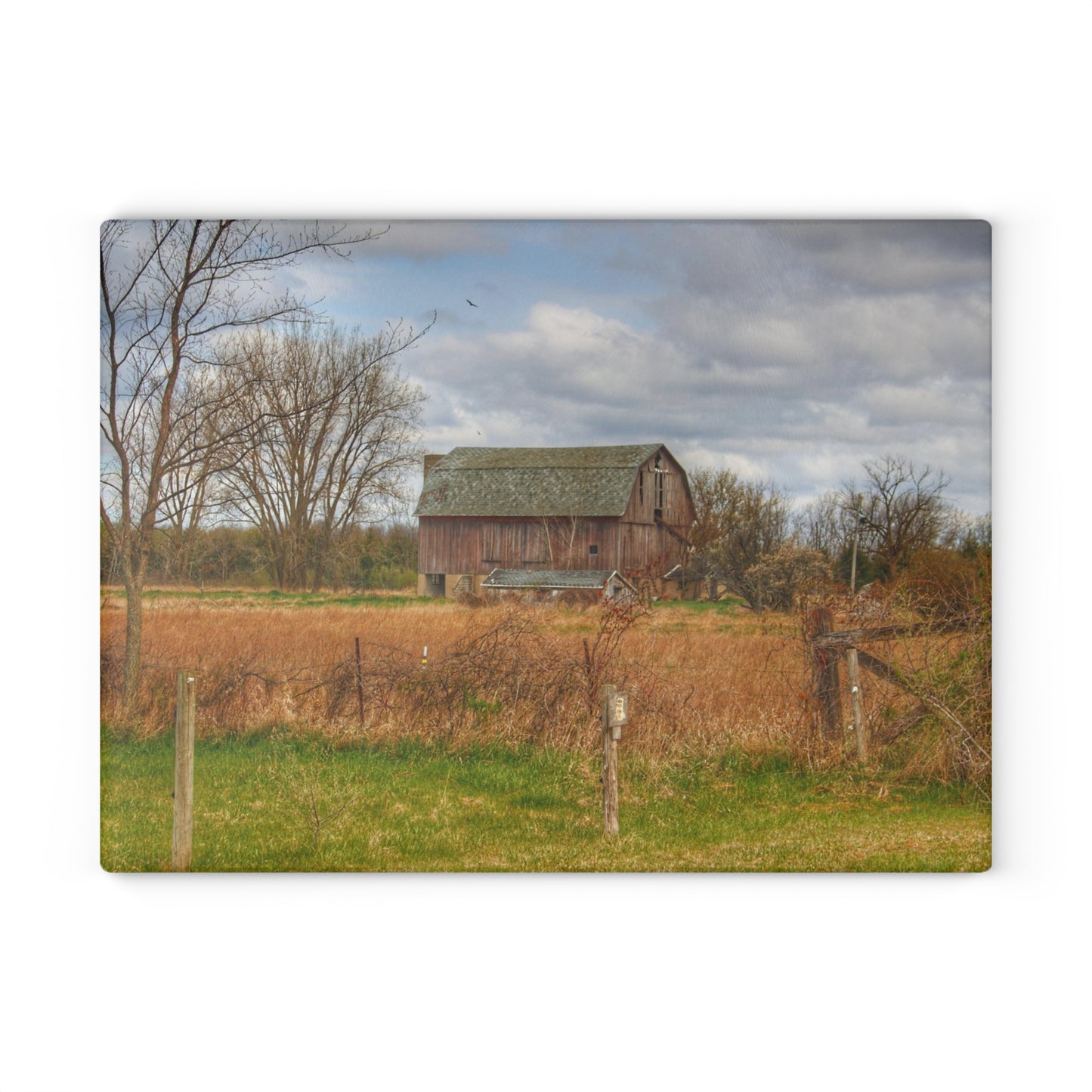 U R There Photography Clothier Road Red II Rustic Farmhouse Tempered-Glass Cutting Board