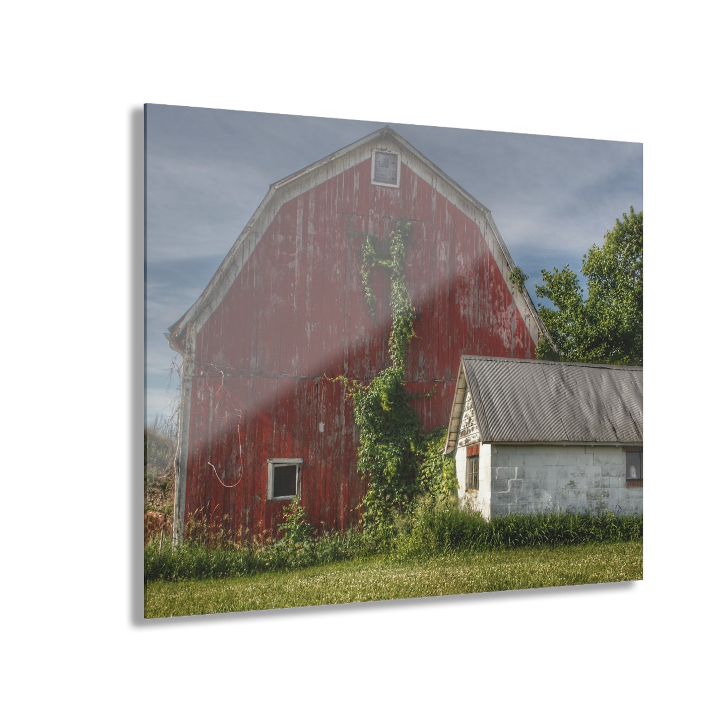 U R There Photography Stanley Road Red in Summer II Rustic Farmhouse Acrylic Wall Print