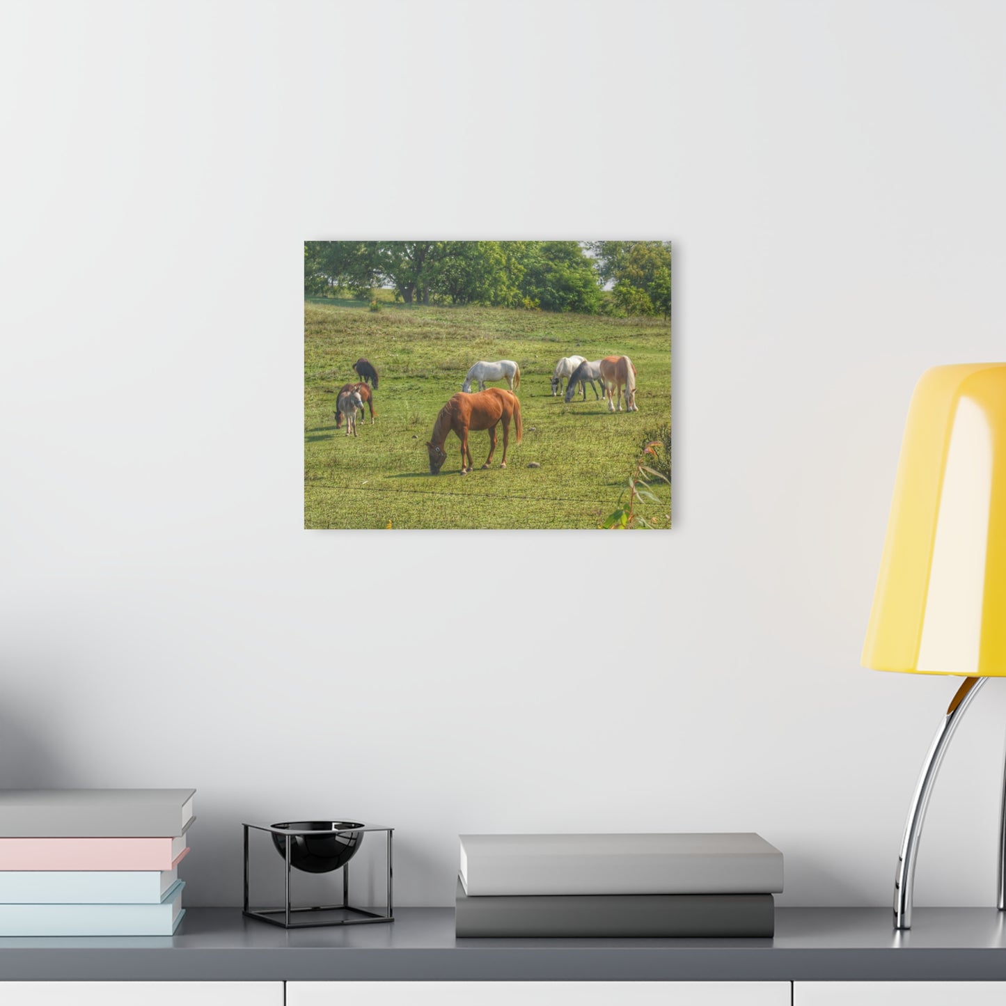 Barn Boutique Modern Farmhouse Acrylic Wall Print| Horses in the Pasture I