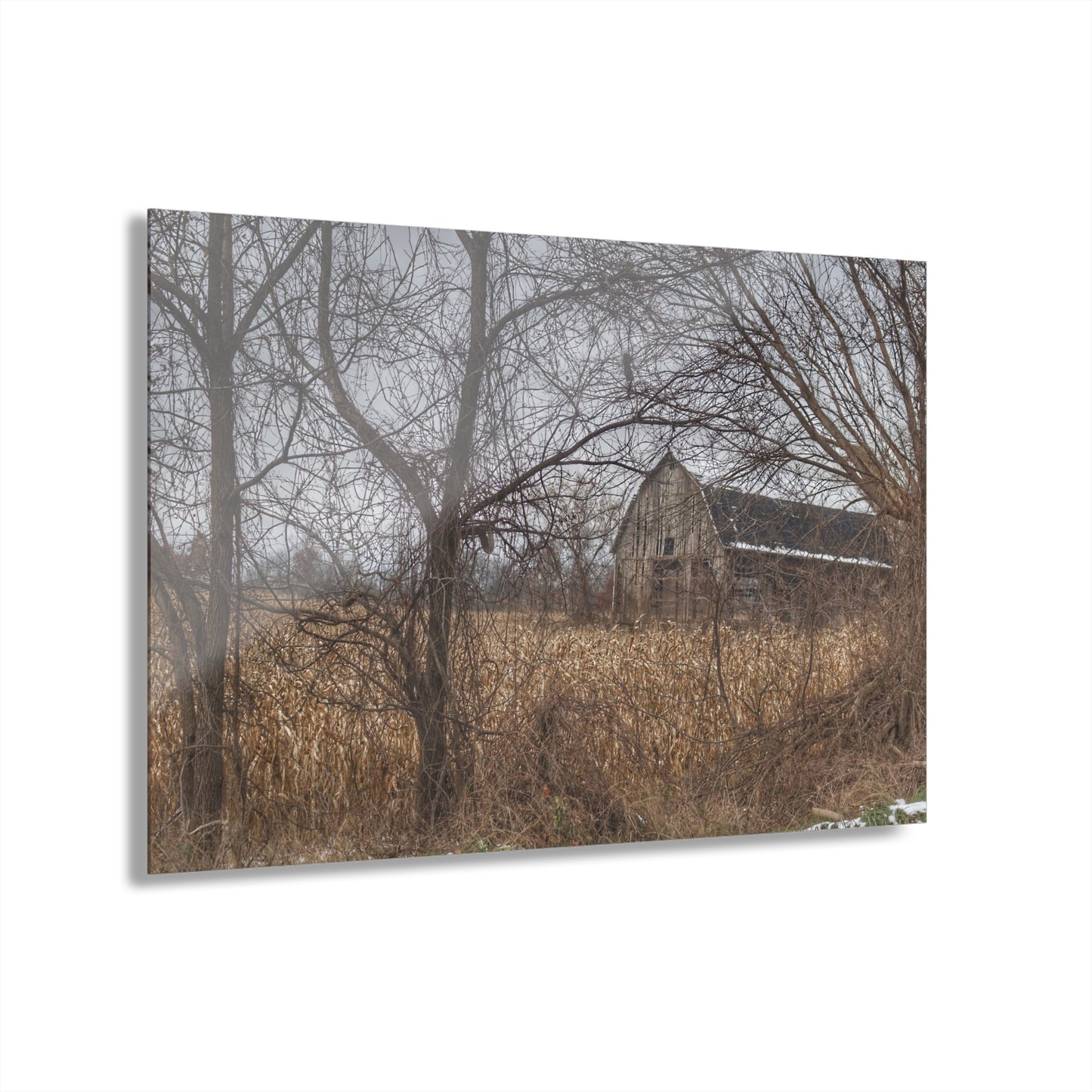 U R There Photography North Oxford Road Grey I Rustic Farmhouse Acrylic Wall Print
