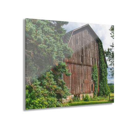 U R There Photography North Branch Ivy Grey I Rustic Farmhouse Acrylic Wall Print