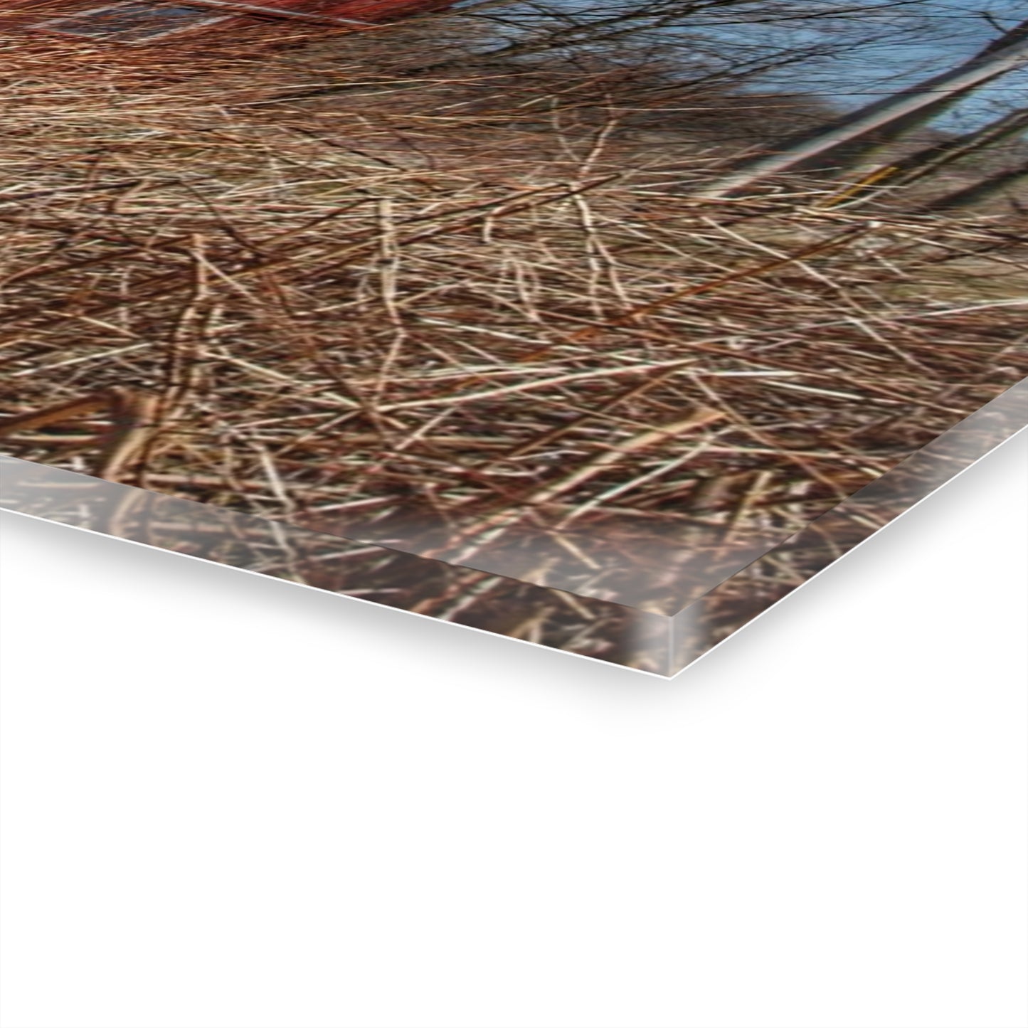 U R There Photography East Dodge Road Red Rustic Farmhouse Acrylic Wall Print