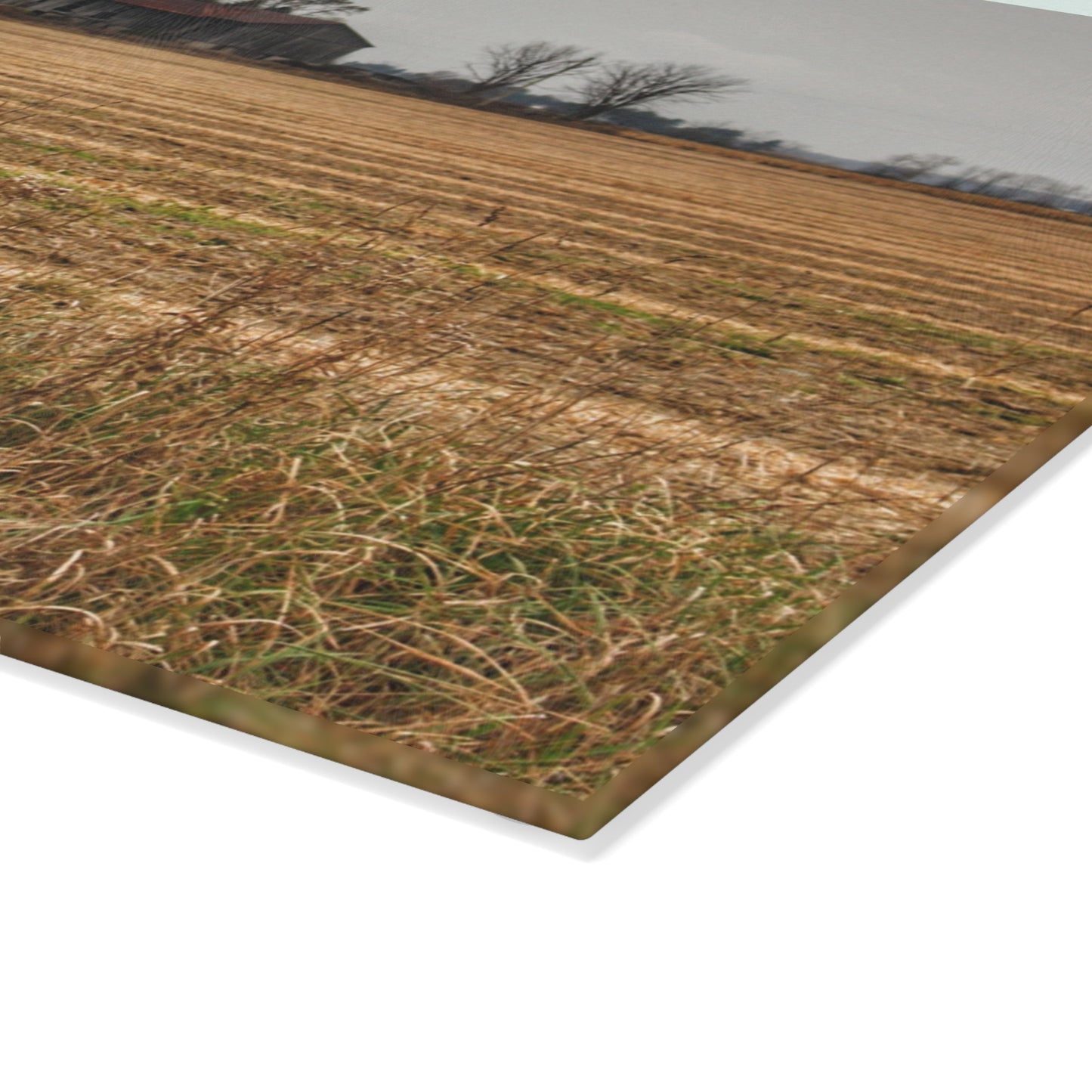 U R There Photography Freiberger Road Grey Across the Field Rustic Farmhouse Tempered-Glass Cutting Board