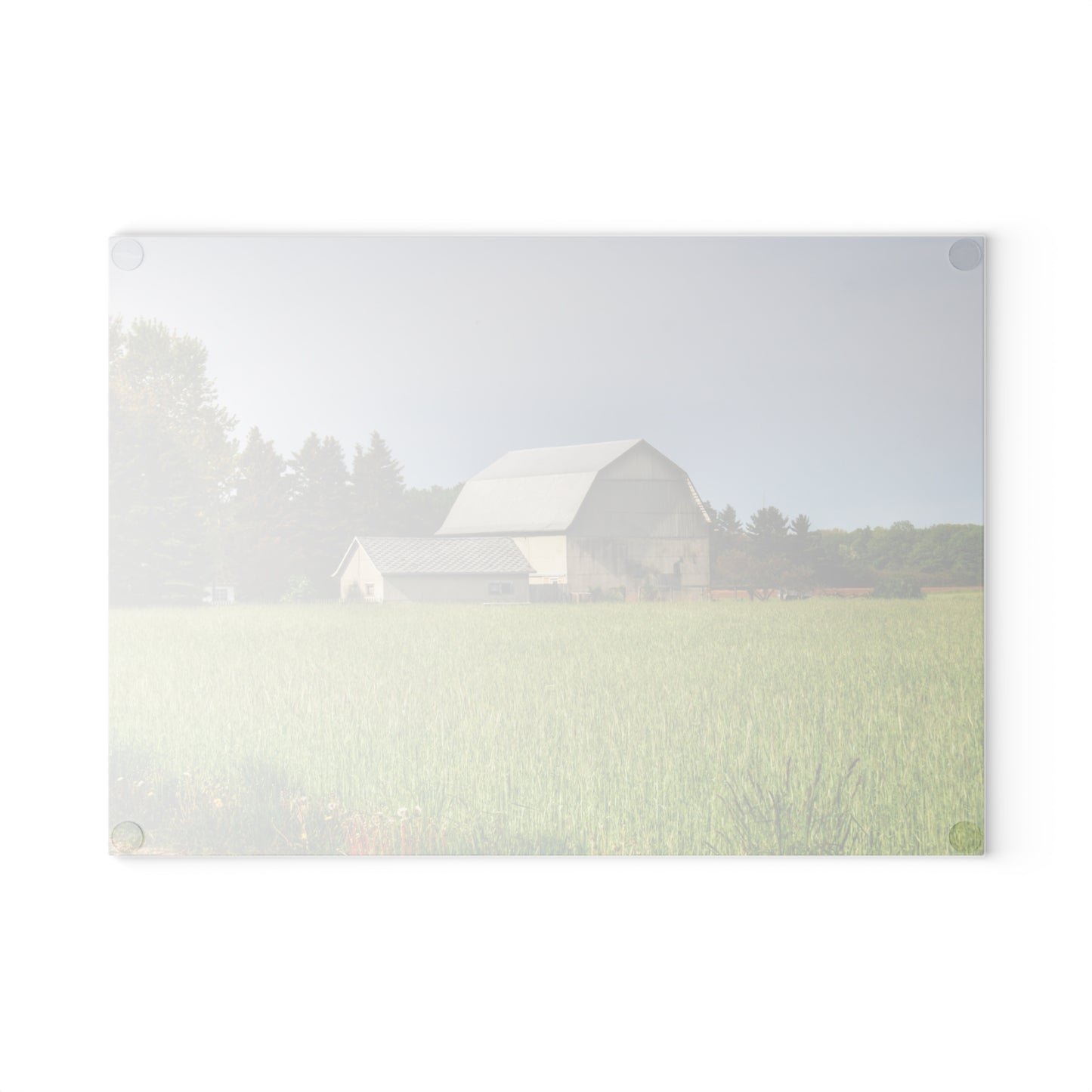 U R There Photography North Graf Road White Rustic Farmhouse Tempered-Glass Cutting Board