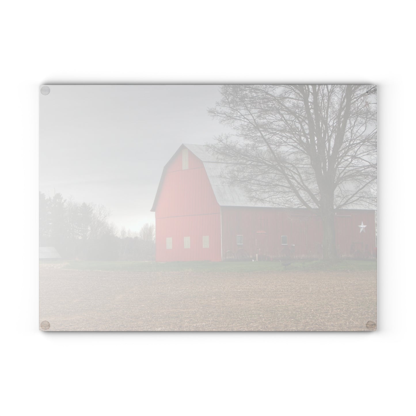 U R There Photography South Summers Road Star Barn Rustic Farmhouse Tempered-Glass Cutting Board