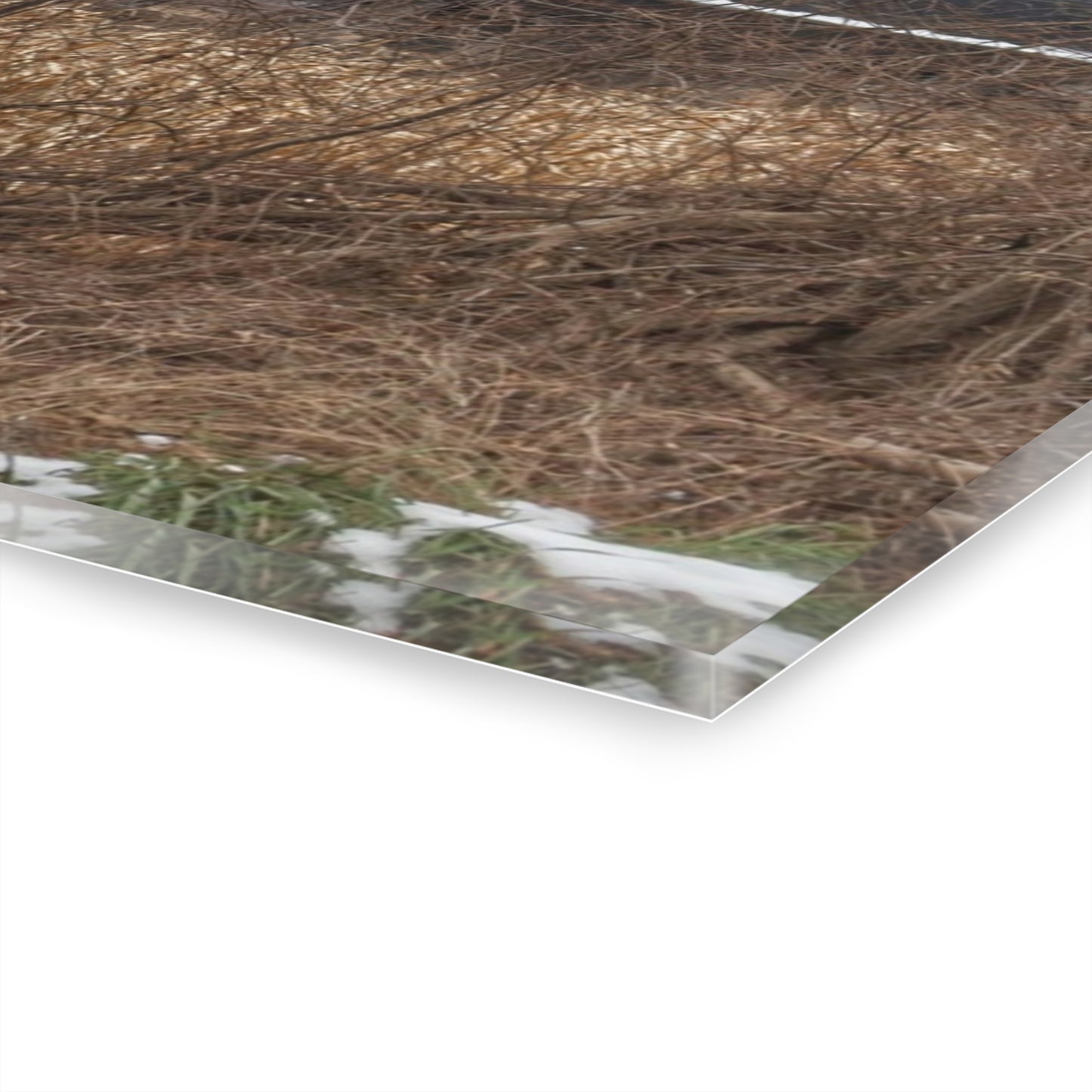 U R There Photography North Oxford Road Grey I Rustic Farmhouse Acrylic Wall Print