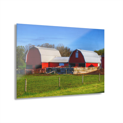U R There Photography M-15 Reds Rustic Farmhouse Acrylic Wall Print