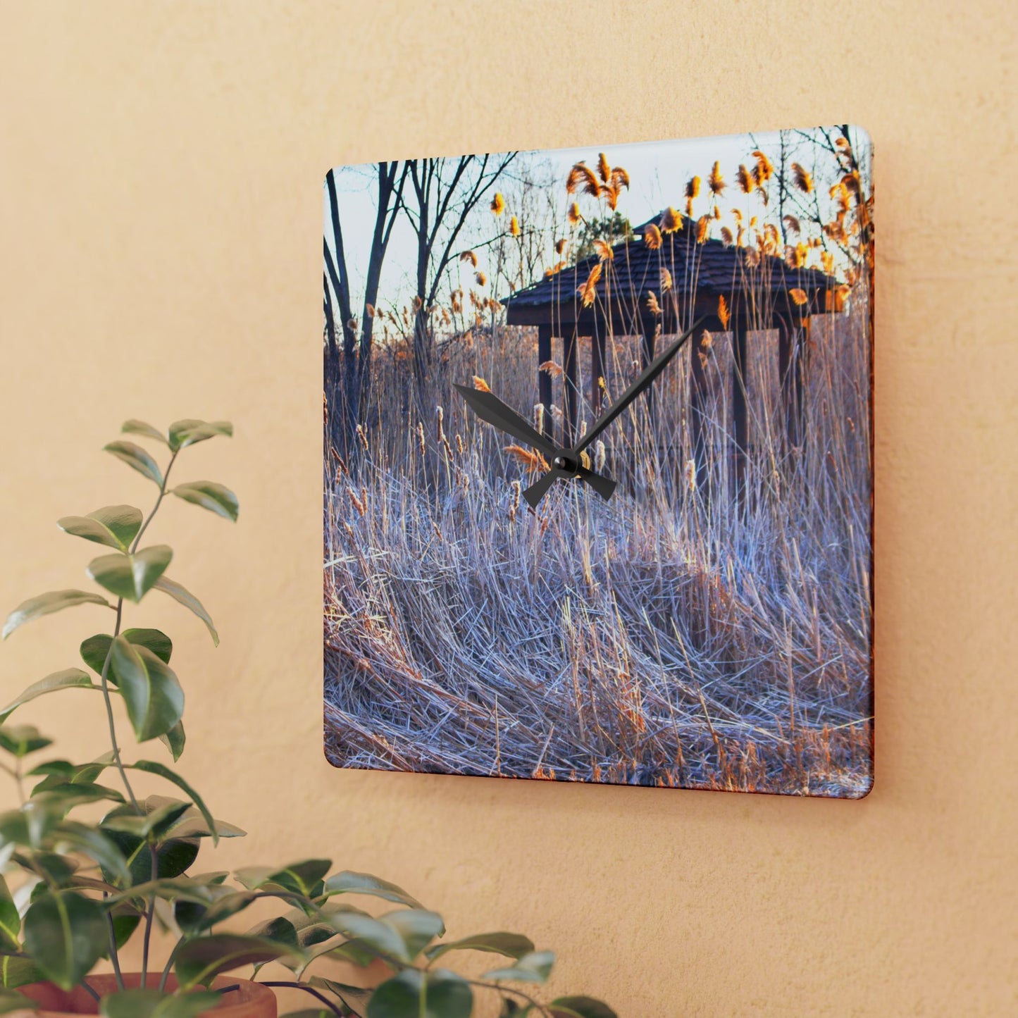 U R There Photography Haines Hidden Gazebo Rustic Farmhouse Acrylic Analog Wall Clock
