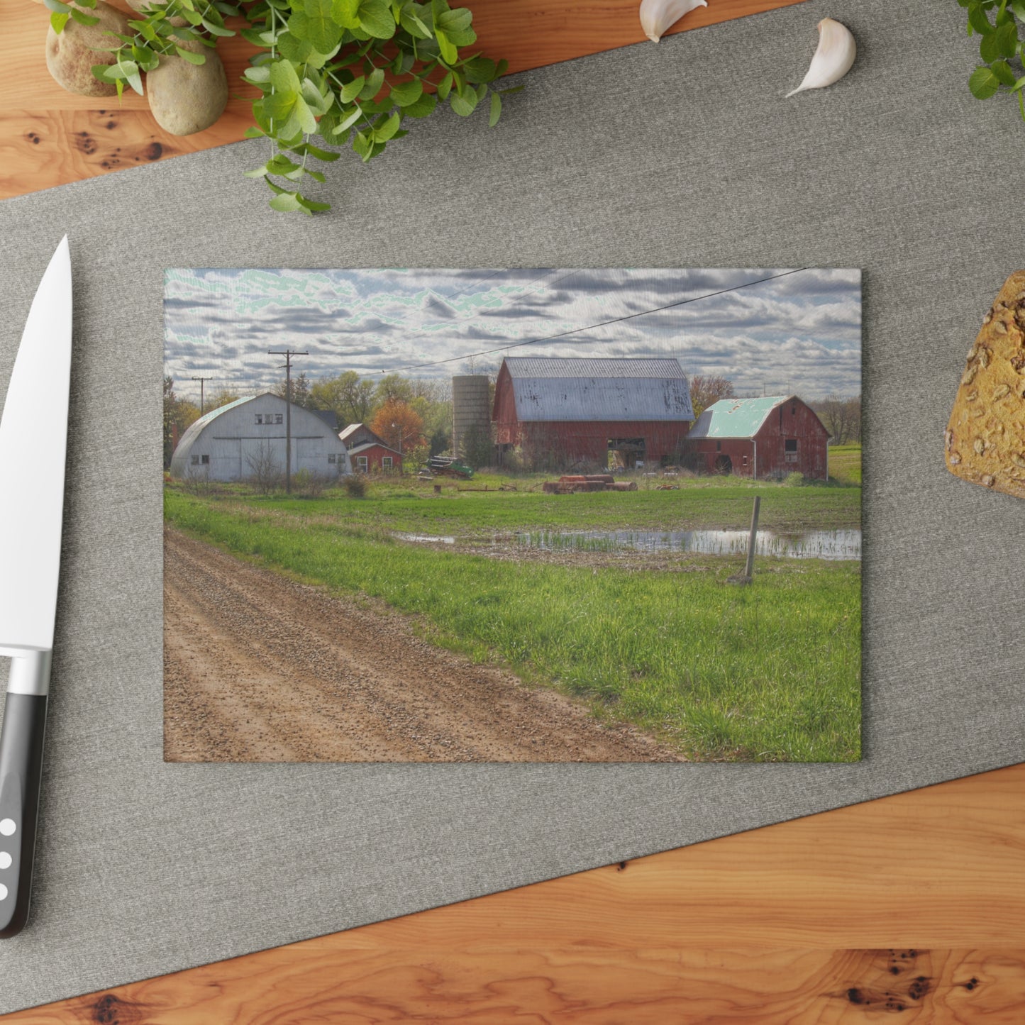 U R There Photography McDowell Road Reds II Rustic Farmhouse Tempered-Glass Cutting Board