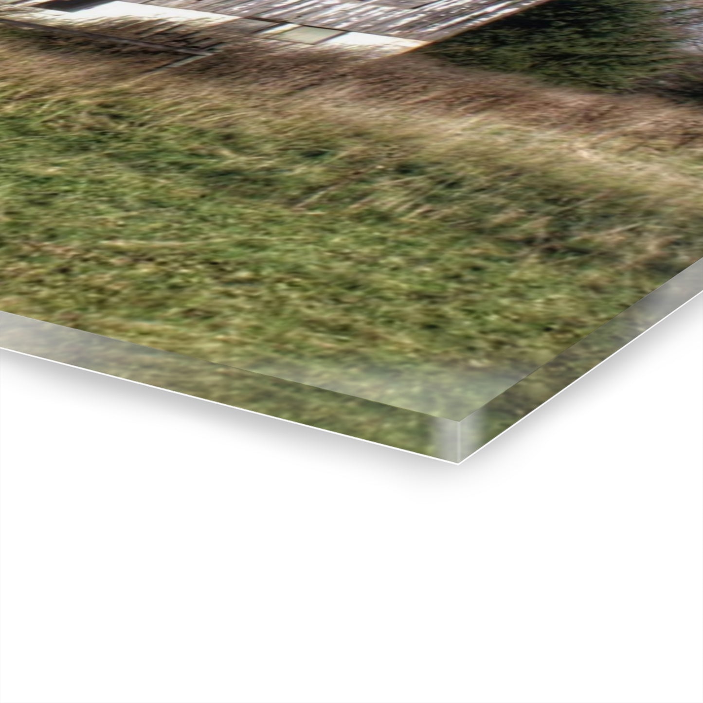 U R There Photography Hadley White Rustic Farmhouse Acrylic Wall Print