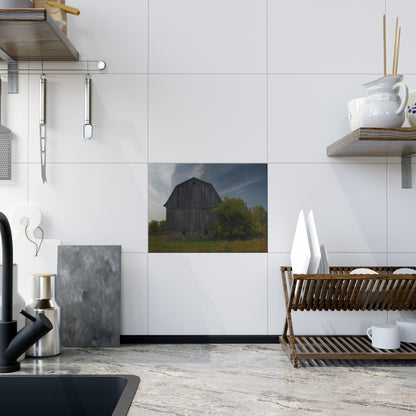 U R There Photography Cat Lake Grey I Rustic Farmhouse Decorative Ceramic Tile