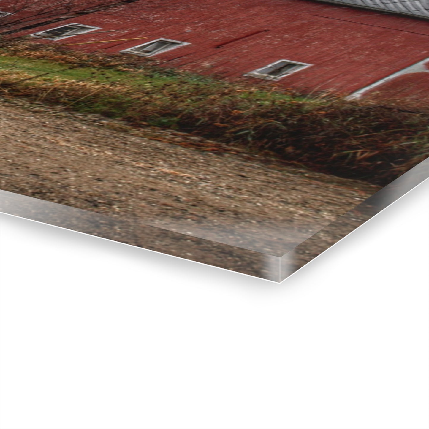 U R There Photography Stanley Road Reds Rustic Farmhouse Acrylic Wall Print