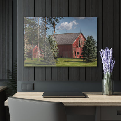 U R There Photography Havens Road Red Among the Pines Rustic Farmhouse Acrylic Wall Print