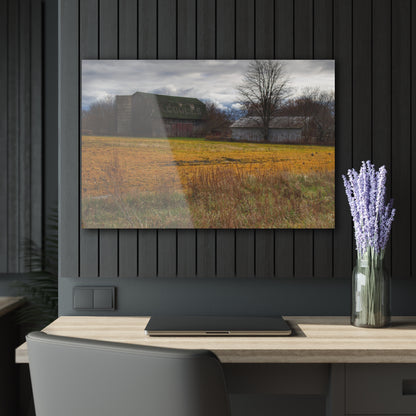 U R There Photography Fields of Golden Clover Rustic Farmhouse Acrylic Wall Print