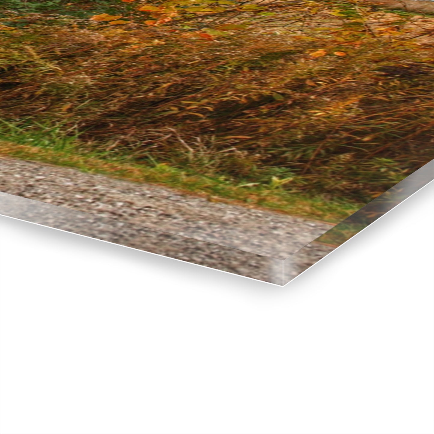 U R There Photography Hill Road White Rustic Farmhouse Acrylic Wall Print