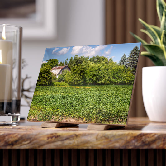 U R There Photography Canada Road Hidden Rustic Farmhouse Decorative Ceramic Tile