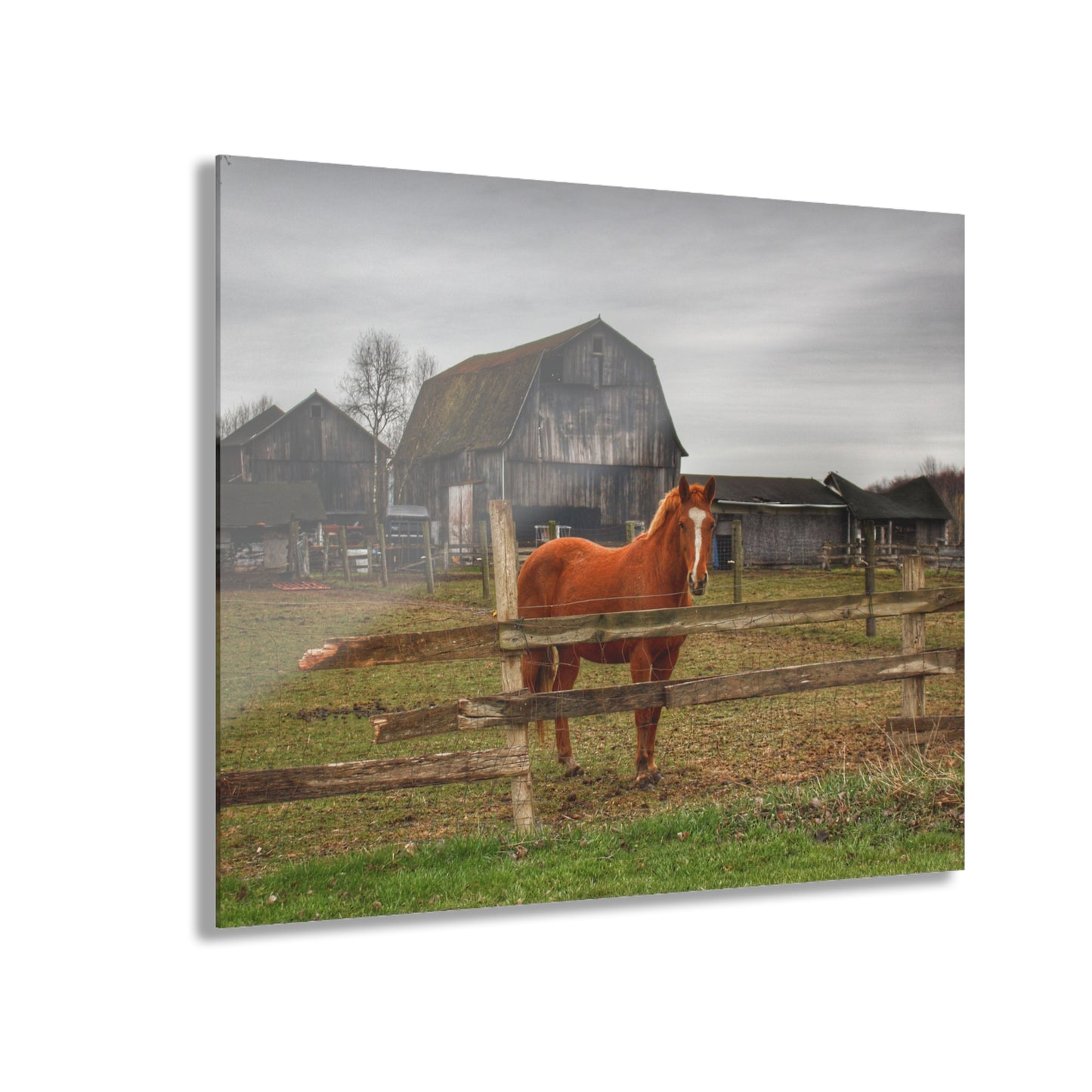 U R There Photography South Summers Road Old Grey and Caramel IV Rustic Farmhouse Acrylic Wall Print