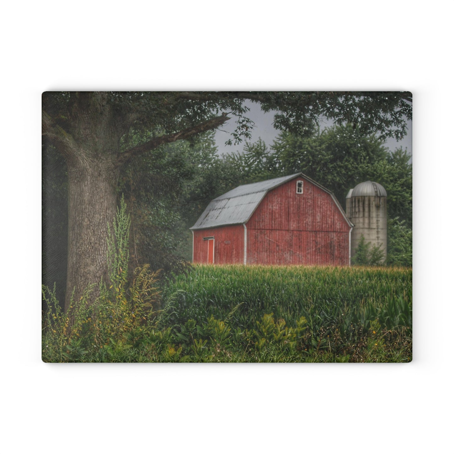 U R There Photography Mayville Lapeer Road Red Rustic Farmhouse Tempered-Glass Cutting Board