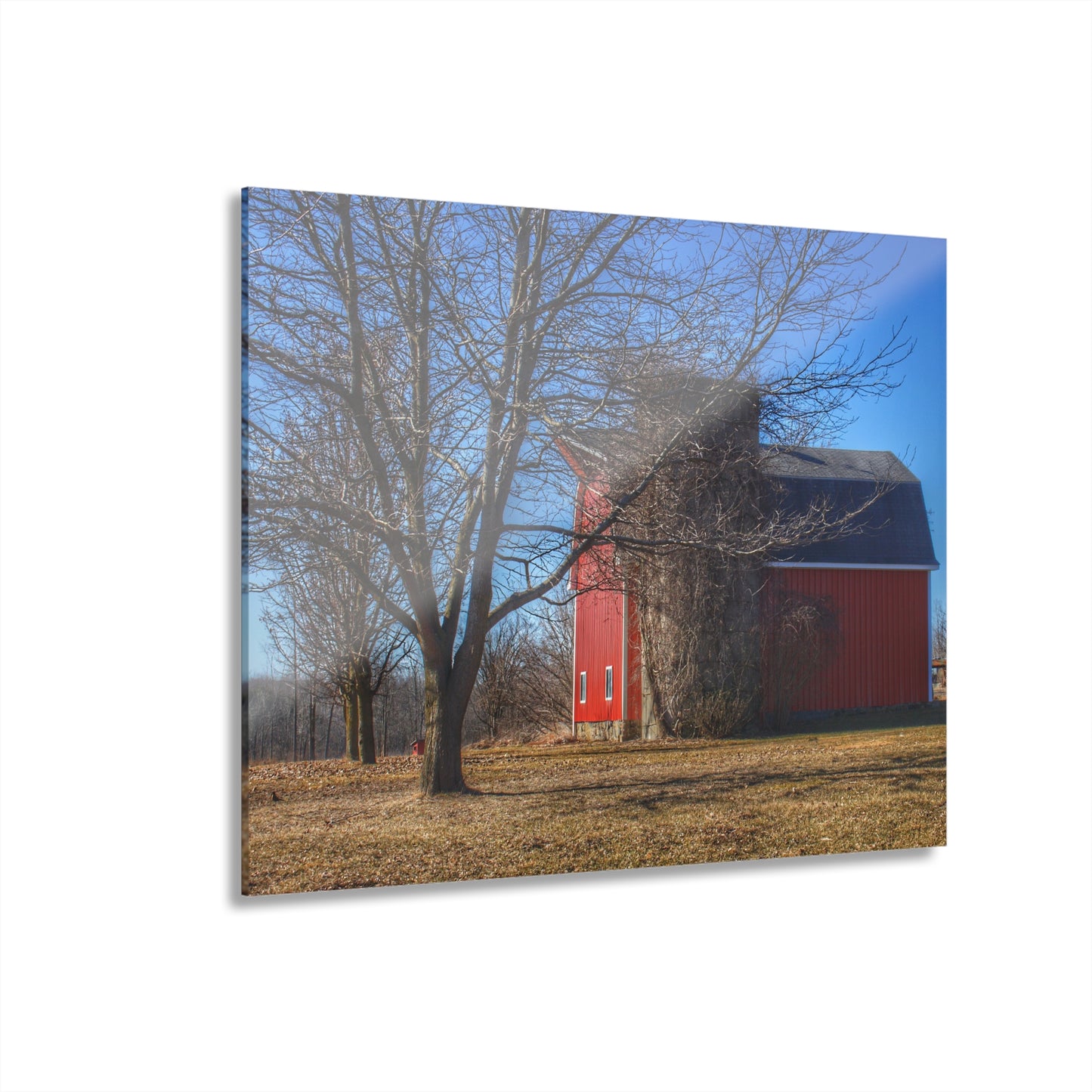 U R There Photography Leonard Road Red Rustic Farmhouse Acrylic Wall Print