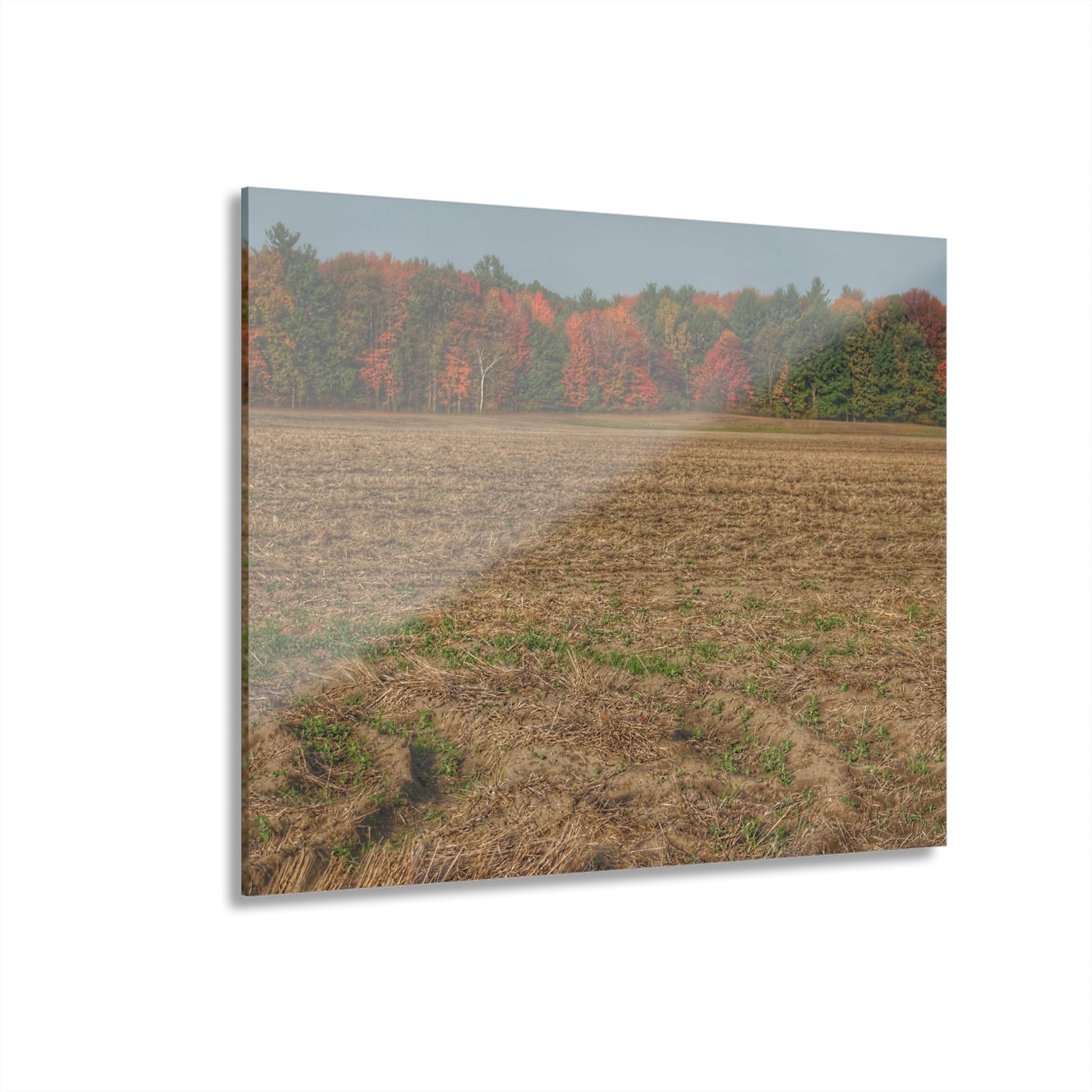 U R There Photography Fall on Murphy Lake III Rustic Farmhouse Acrylic Wall Print
