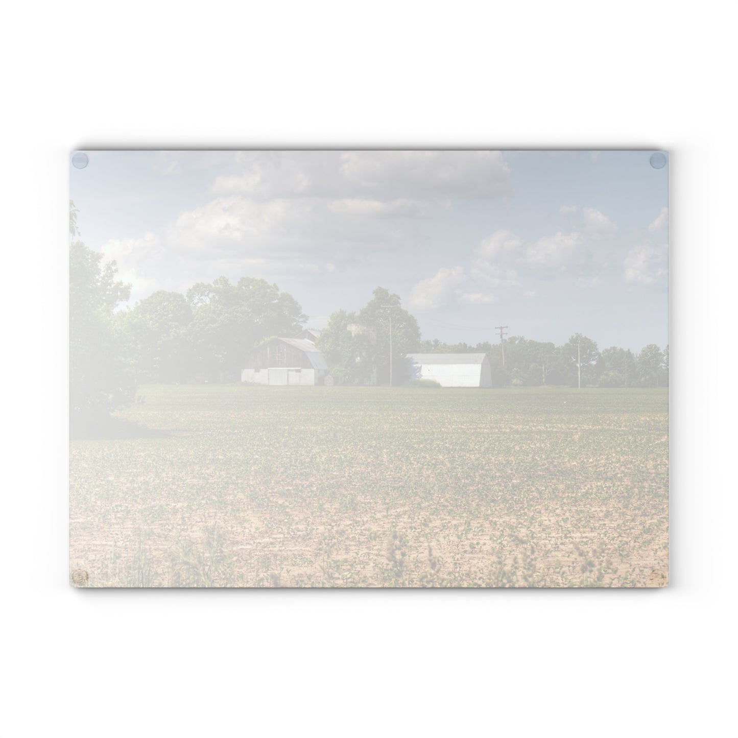 U R There Photography Willard Road White Rustic Farmhouse Tempered-Glass Cutting Board