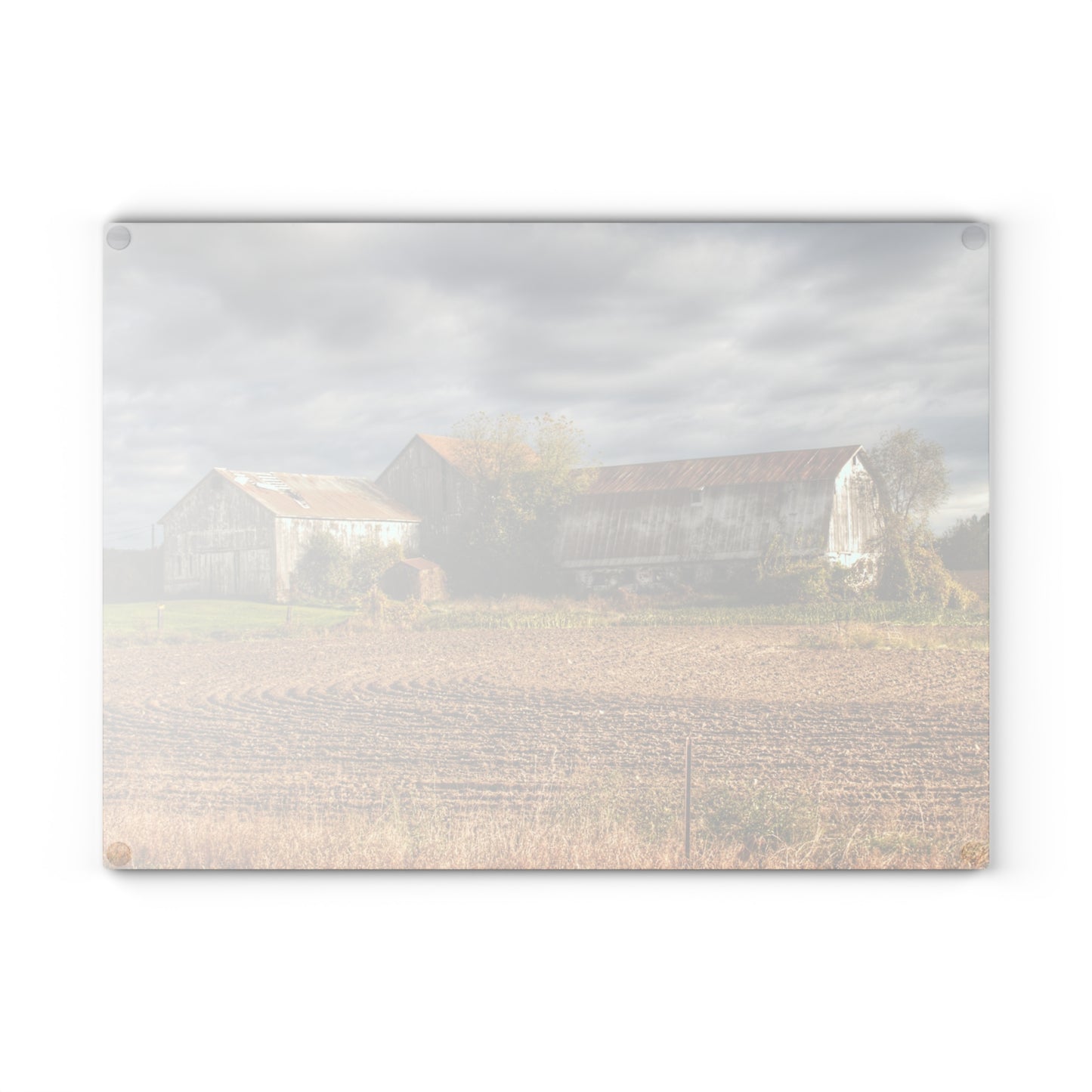 U R There Photography Newark Road Whites Rustic Farmhouse Tempered-Glass Cutting Board