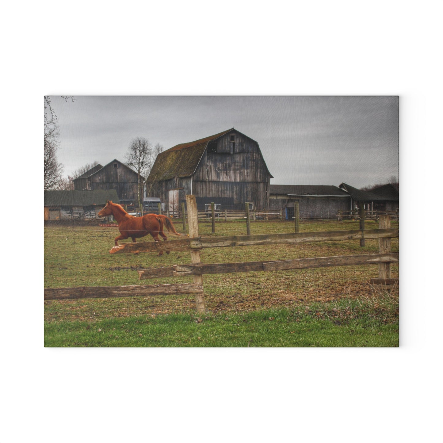 U R There Photography South Summers Road Old Grey and Caramel III Rustic Farmhouse Tempered-Glass Cutting Board