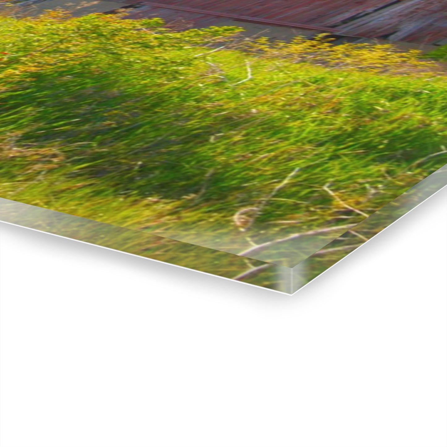 U R There Photography Leslie Road Red II Rustic Farmhouse Acrylic Wall Print