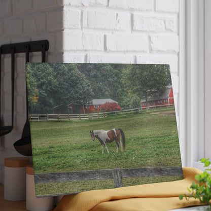 U R There Photography Painted Pony in Pasture Rustic Farmhouse Tempered-Glass Cutting Board