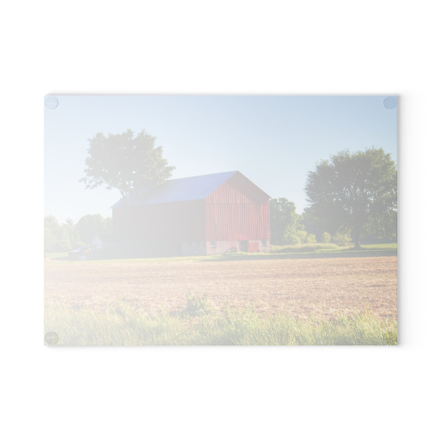 U R There Photography Morris Road Red Rustic Farmhouse Tempered-Glass Cutting Board