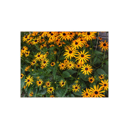 U R There Photography Black-Eyed Susan Rustic Farmhouse Decorative Ceramic Tile