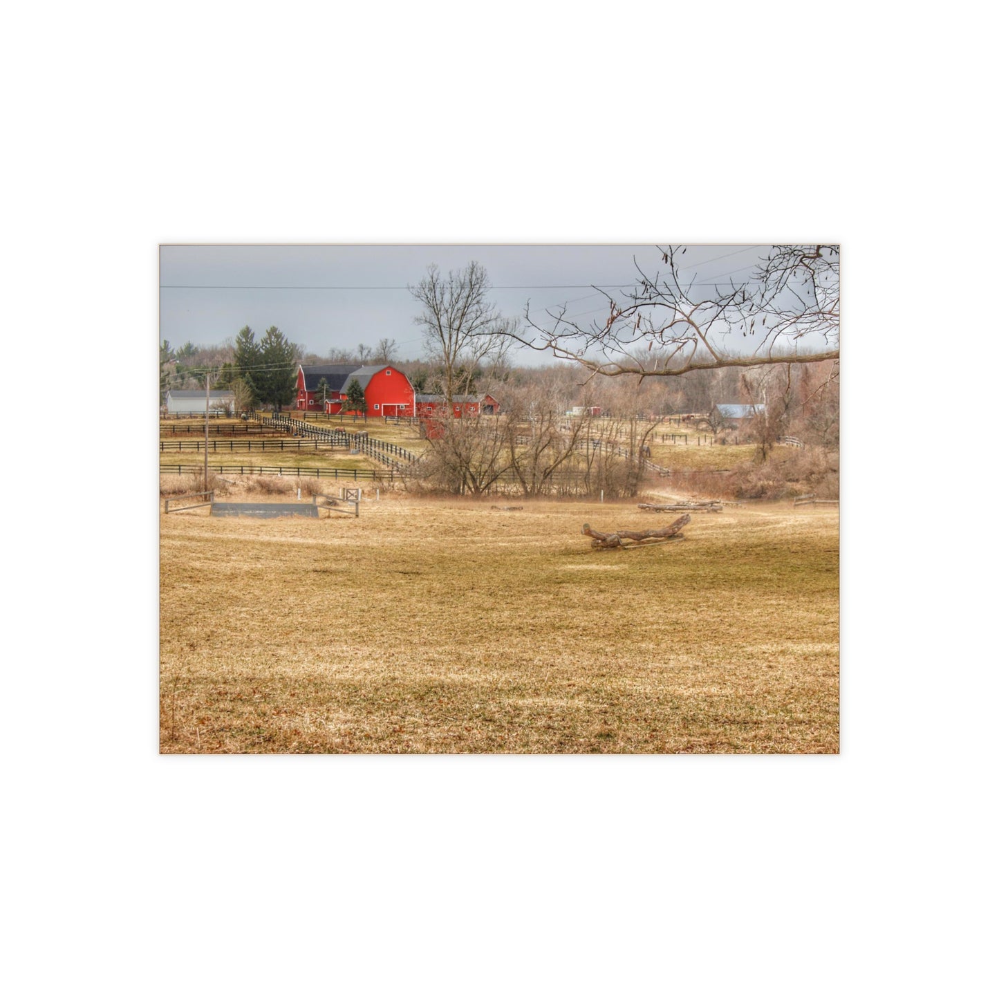 U R There Photography Beyond the Trees on Rock Valley Road Rustic Farmhouse Decorative Ceramic Tile