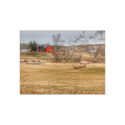 U R There Photography Beyond the Trees on Rock Valley Road Rustic Farmhouse Decorative Ceramic Tile