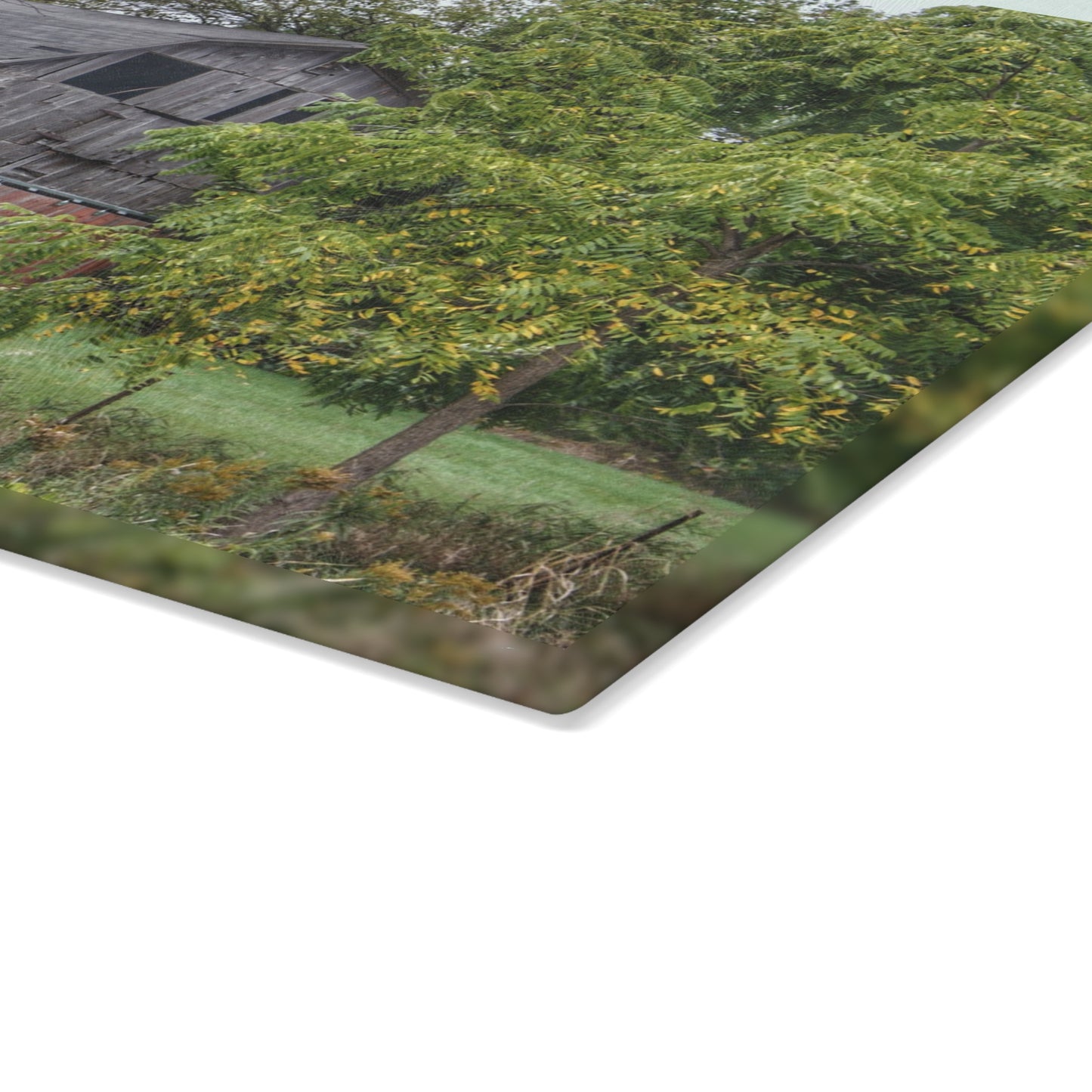 U R There Photography Hayes Road Hidden I Rustic Farmhouse Tempered-Glass Cutting Board