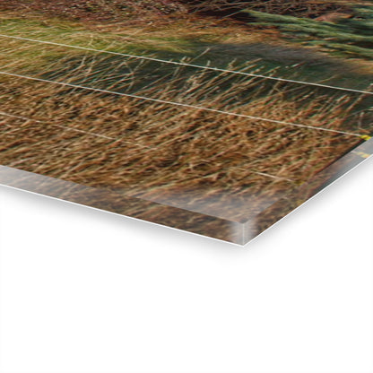 U R There Photography Dodge Road Grey I Rustic Farmhouse Acrylic Wall Print