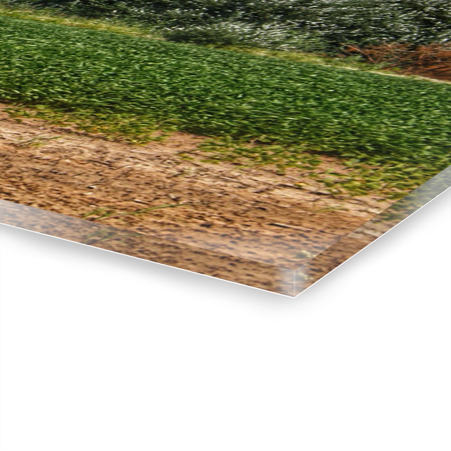 U R There Photography Lake Road Grey Rustic Farmhouse Acrylic Wall Print