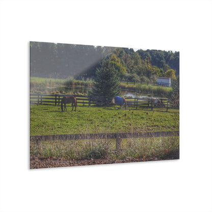 Barn Boutique Modern Farmhouse Acrylic Wall Print| Lake George Ponies