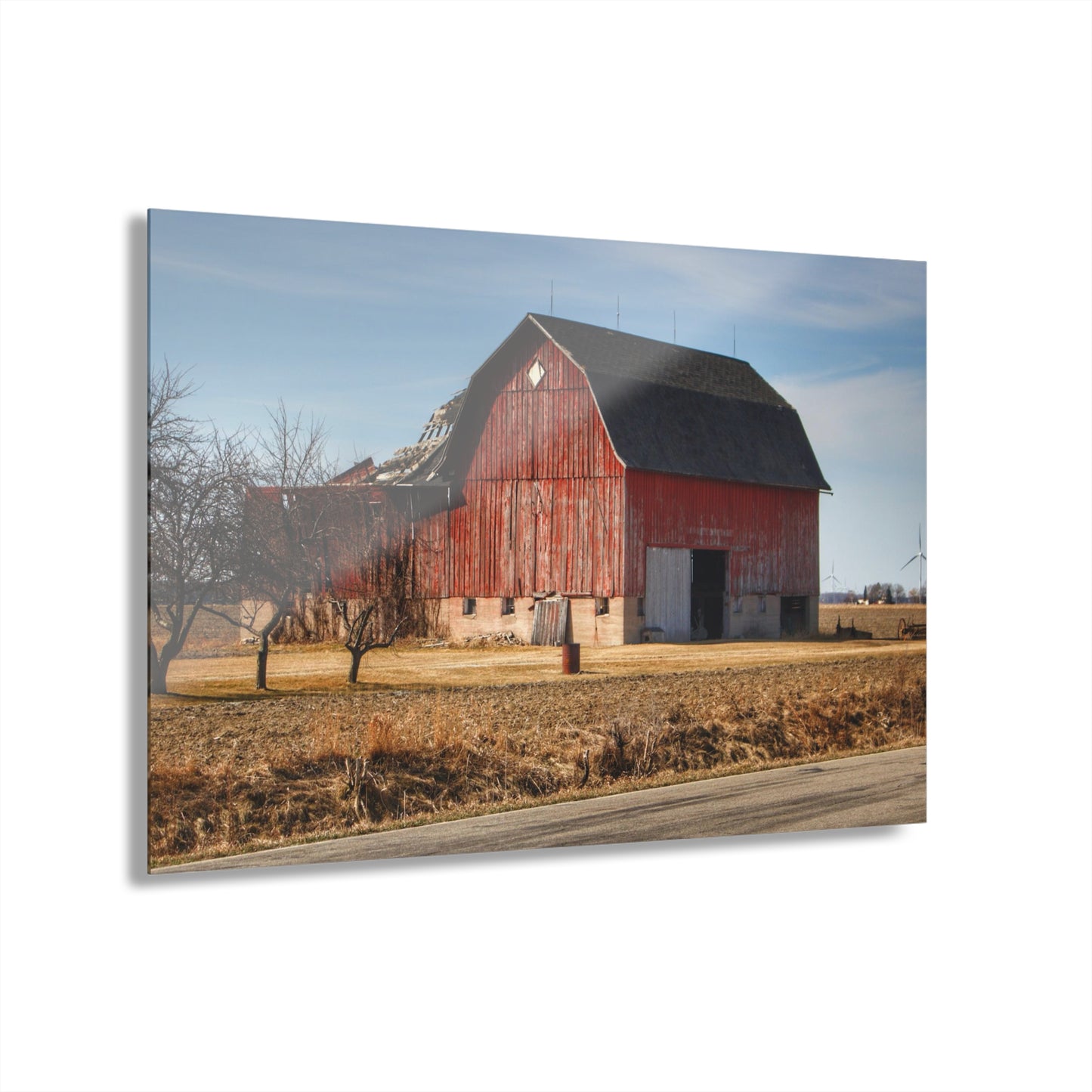 U R There Photography Elmwood Forgotten Apple Red Rustic Farmhouse Acrylic Wall Print