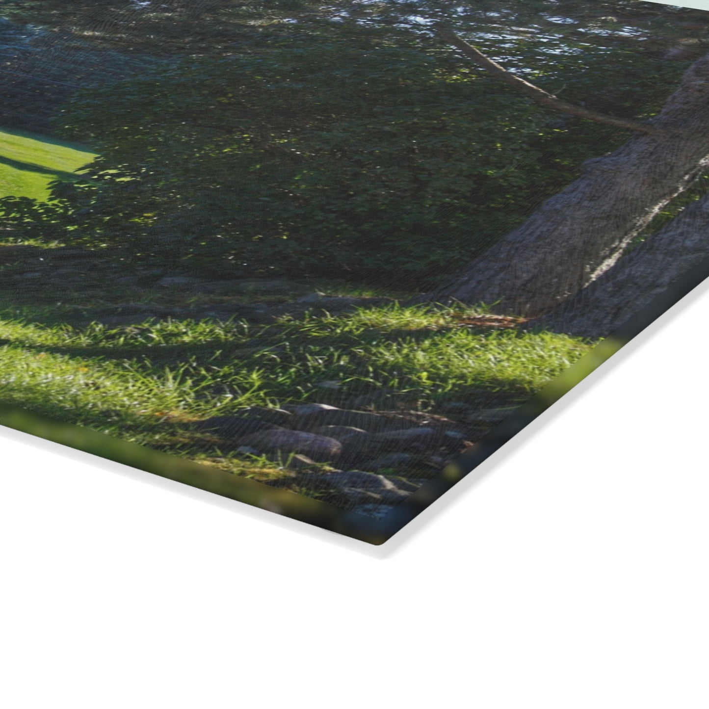 U R There Photography Hosner Road Hidden Grey Rustic Farmhouse Tempered-Glass Cutting Board