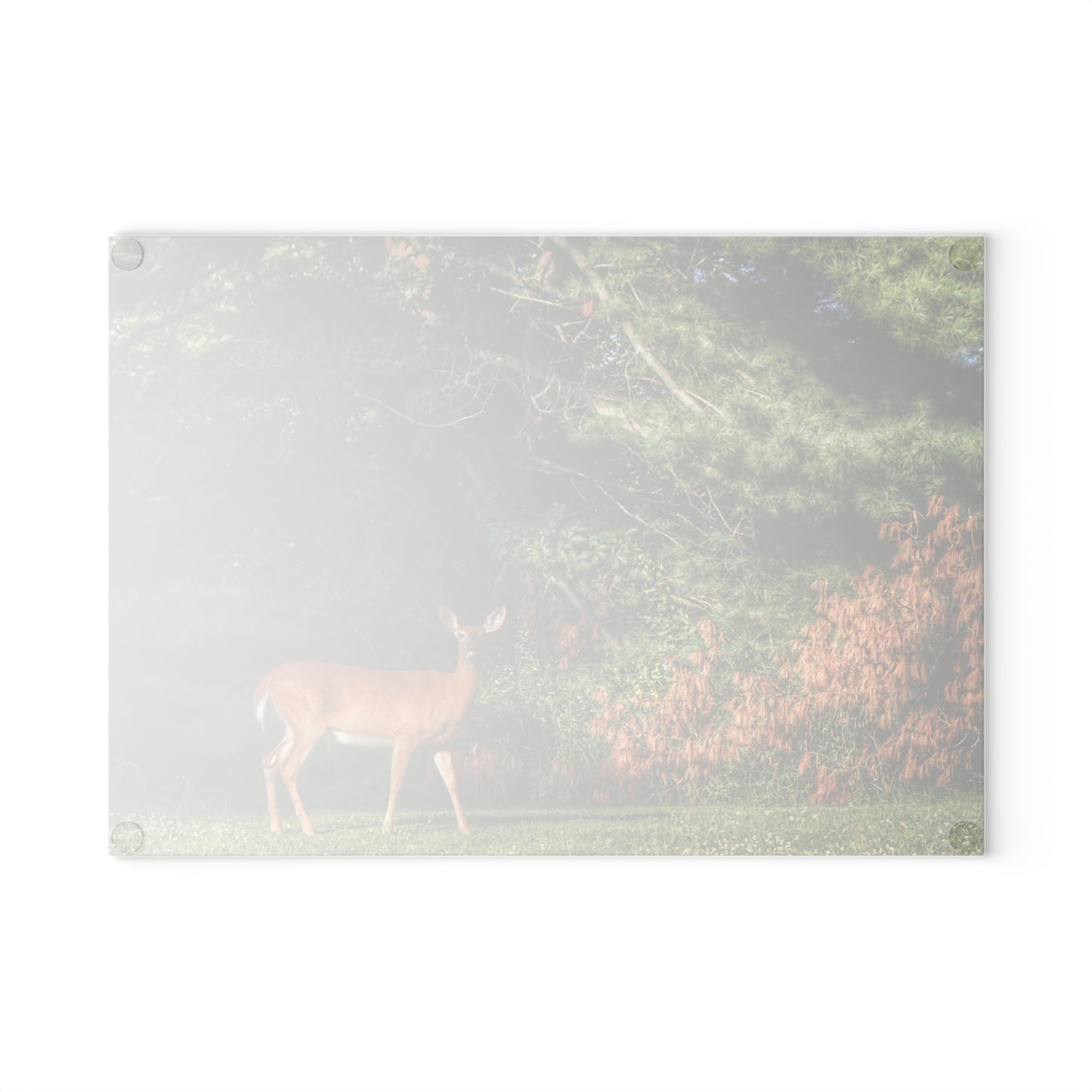 U R There Photography Mitchell Road Doe Rustic Farmhouse Tempered-Glass Cutting Board