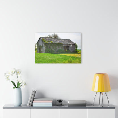 U R There Photography Caro Road Twin Grey II Rustic Farmhouse Acrylic Wall Print