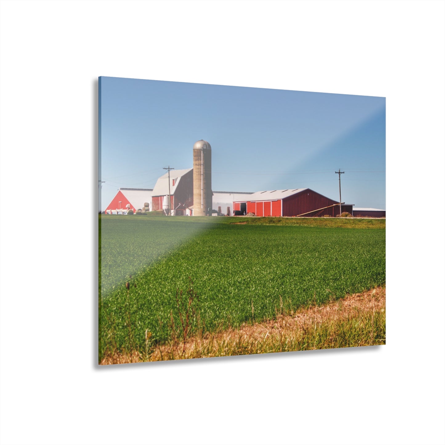U R There Photography Pattison Road Farm Across the Field I Rustic Farmhouse Acrylic Wall Print