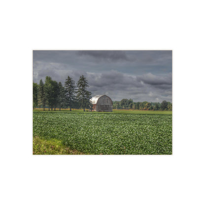 U R There Photography Belsay Grey Among the Pines Rustic Farmhouse Decorative Ceramic Tile