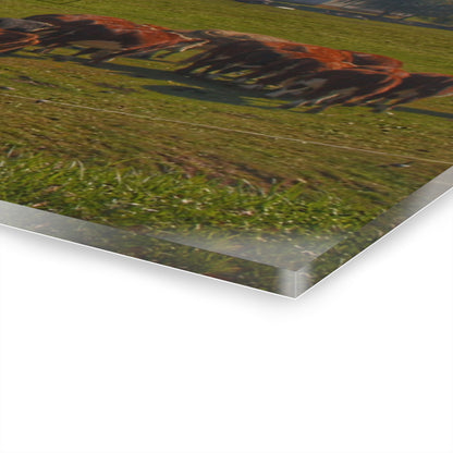 U R There Photography Plain Road Farm and Cows Rustic Farmhouse Acrylic Wall Print